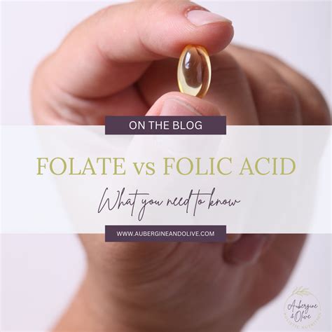 Folate Vs Folic Acid What You Need To Know — Aubergine And Olive