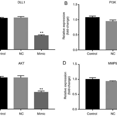 Mir B Inhibits The Mrna Level Of The Pi K Akt Signaling Pathway And