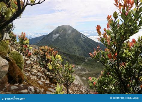 mount pangrango peak west java indonesia stock image image