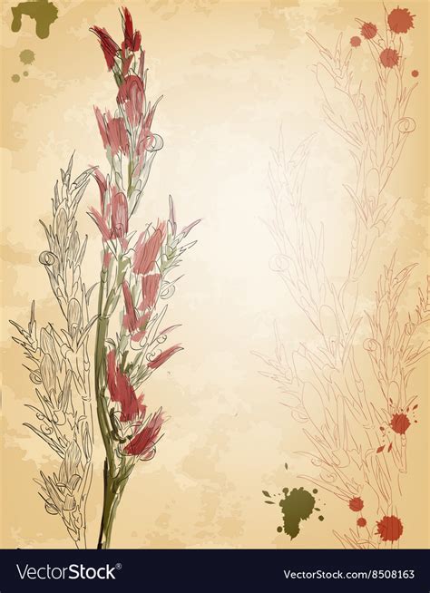 Vintage floral sketch Royalty Free Vector Image