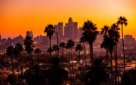 wallpaper city, palm trees, sunset, buildings, skyscrapers, los angeles ...