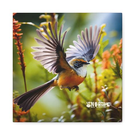 Fantail bird – Far North Inspired Art on Canvas - Up North - Travel ...