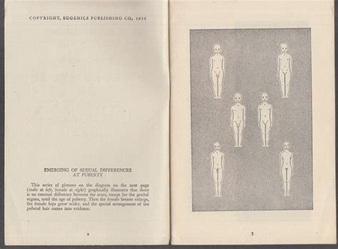 Eugenics Publishing The Picture Story Of A Womans Sexual Life Booklet