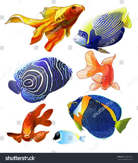 Set Of Exotic Colorful Fish Abstract Isolated Fish On White Background