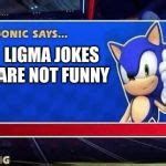 Sonic Says Meme Generator - Imgflip