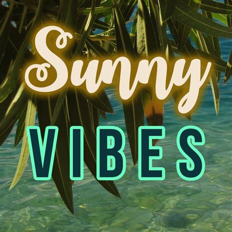 Sunny Vibes Playlist On Spotify Indie Movies Vampire Weekend Gorillaz