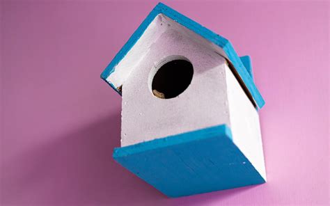 Dove Bird House Dimensions | informacionpublica.svet.gob.gt