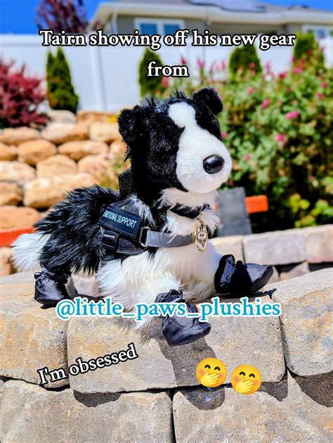 Soon to be an unboxing with lots more 🤤🙏🏽#littlepawsplushies #maven