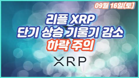 리플 Xrp 단기 상승 기울기 감소 하락 주의 Youtube