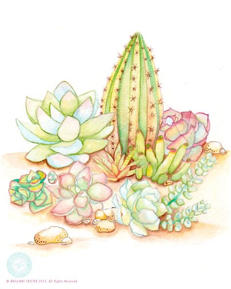 Succulent Painting Watercolor Succulent Print Cactus Garden