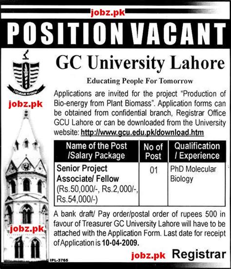 Position Vacant For GC University Lahore 2024 Job Advertisement Pakistan