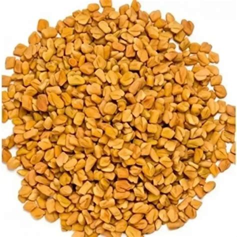 Yellow Methi Dana Seed Packaging Type Loose At Rs Kg In Jaipur