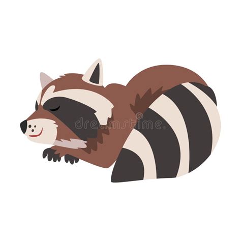 Cute Sleeping Raccoon, Adorable Wild Forest Animal Cartoon Character ...