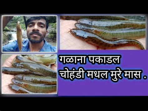 गळन पकडल चहड मधल मर मस YouTube