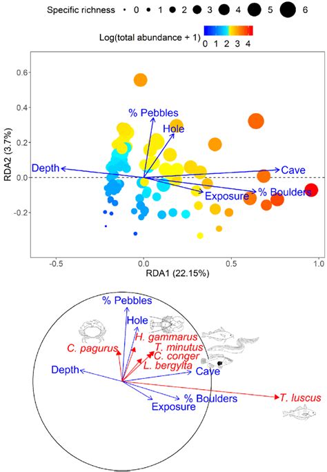 Redundancy Analysis RDA Ordination Plots Of Axes 1 And 2 Showing A