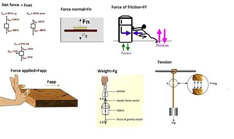 Unit 2: Dynamics - Physics Project