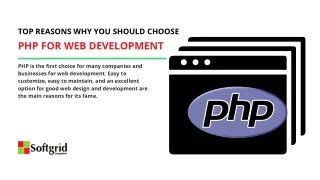 PPT Top 7 Reasons Why Should You Choose Custom Software Development