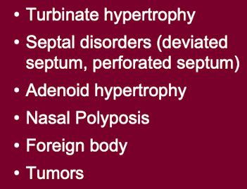 Nose And Paranasal Sinus Flashcards Quizlet