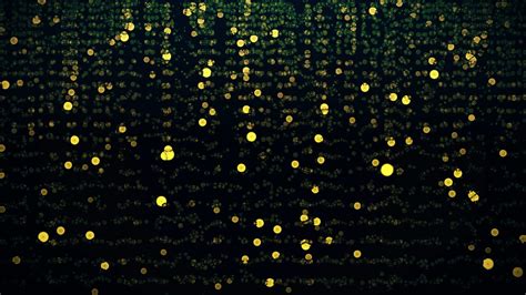 No Blur Videos: Download 831+ Free 4K & HD Stock Footage Clips - Pixabay