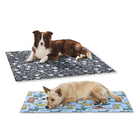 Go to Place Dog Training Mat - Great Gear And Gifts For Dogs at Home or