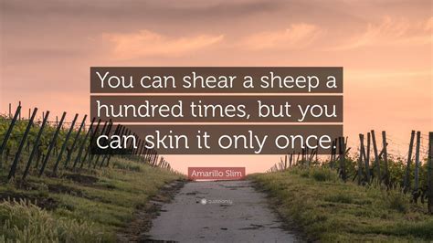 Amarillo Slim Quote: “You can shear a sheep a hundred times, but you can skin it only once.”