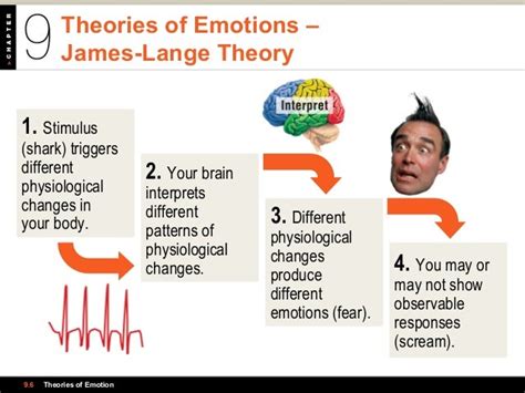 Psychology 101 Chapter 9 Motivation And Emotion