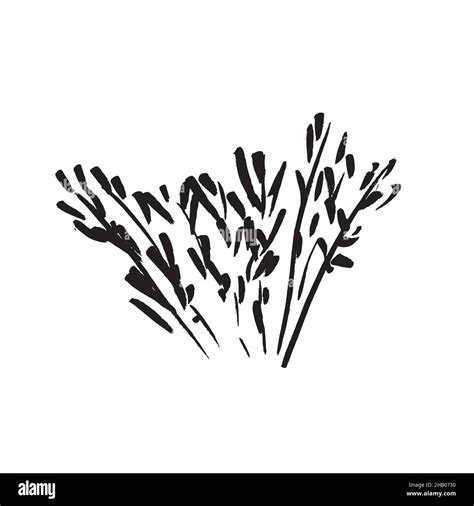 Simple Vector Black Outline Drawing Bush Sketch Silhouette Stock