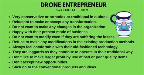 11 Traits of Drone Entrepreneur: How You Can Be One - CareerCliff