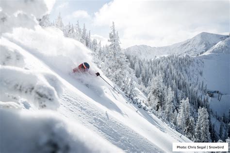 Insider's Guide to Skiing Snowbird, Utah | OpenSnow