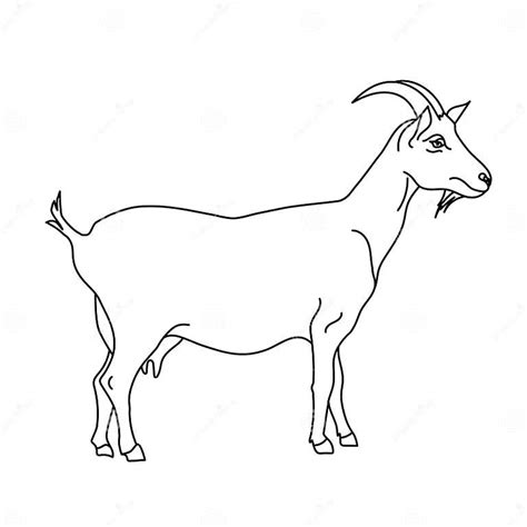 Goat Line Drawing Minimalistic Style For Logo Icons Emblems