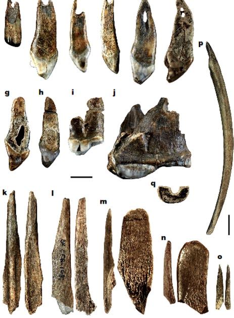 Earliest Upper Paleolithic Humans in Europe Discovered! | Ancient Origins