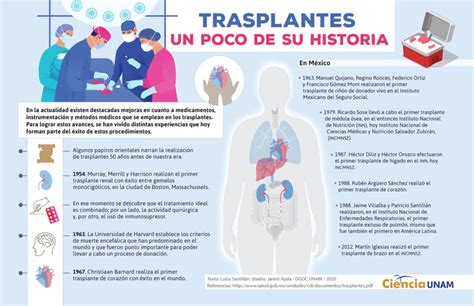 De Donde Se Obtienen Los Organos Y Tejidos Para Trasplantes