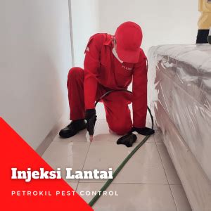 Harga Jasa Pembasmi Rayap Jakarta Timur Terbaik 2024 Petrokil Pest