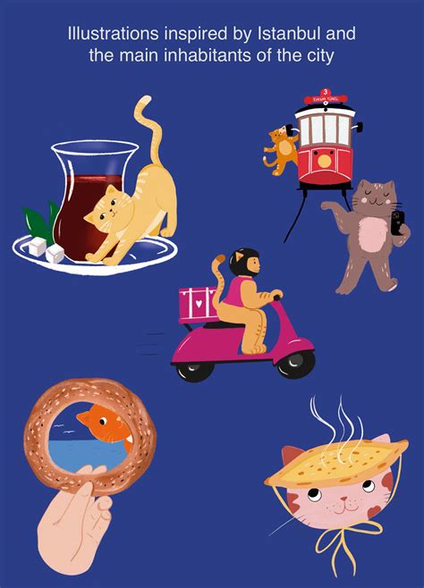 istanbul cats youtube 7