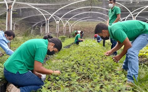 Jesús De Otoro Estudiantes Del Btp En Desarrollo Agropecuario En La