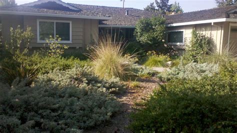 Blog | Natural Front Yards | Sustainable Landscaping