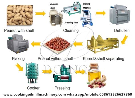 How To Extraxt The Peanut Oil In Peanut Oil Mill Plant Vegetable Oil