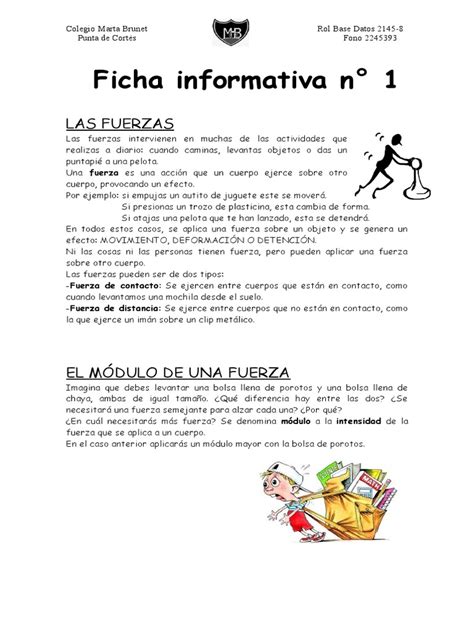 Fichas Informativas