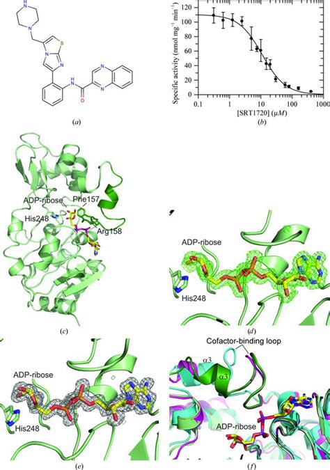 IUCr Structures Of Human Sirtuin 3 Complexes With ADP Ribose And With