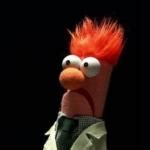 Crazy Muppet Meme Generator - Imgflip