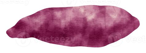 Sweet Potato Watercolor Illustration 9661433 Png