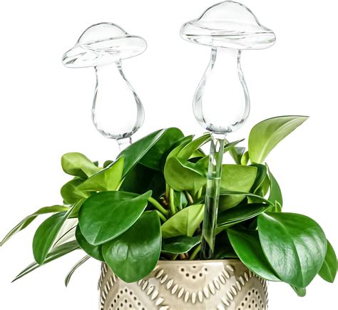 Amazon Haawooky 8 Pack Self Watering Globes Clear Glass Plant