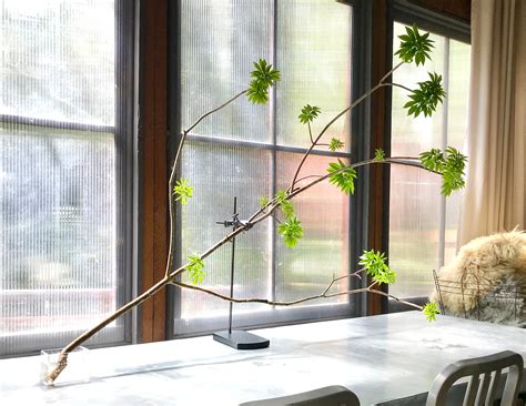 tips  choosing cut tree branches  decor artefactcurator