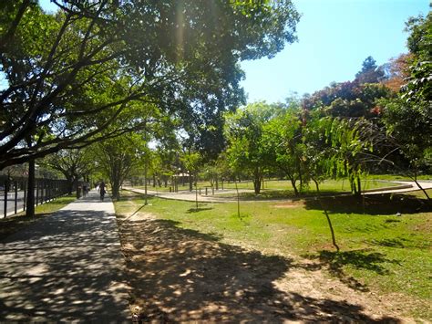 Bosque Maia em Guarulhos SP Áreas Verdes das Cidades Guia de