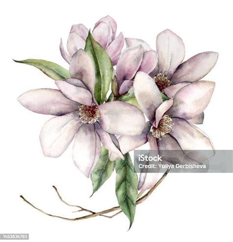 Watercolor Floral Bouquet Of Magnolias Leaves And Dry Branches Hand