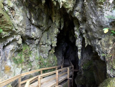 Kawiti Glow Worm Caves Near Kawakawa Northland New Zealand