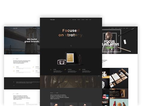 Talos Creative Multipurpose WordPress Theme by Ivan Grozdić on Dribbble