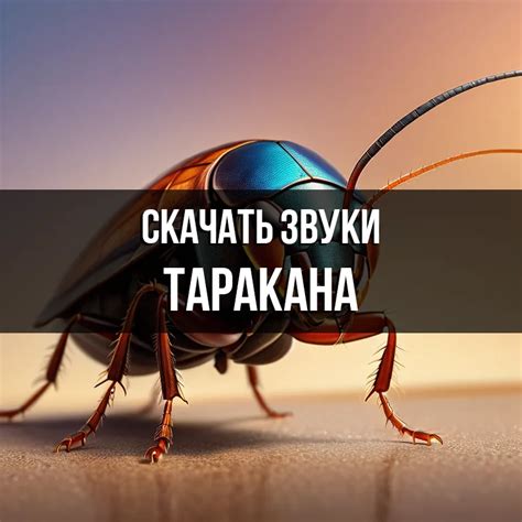Звуки тараканов слушать онлайн и скачать бесплатно mp3 на Zvukogram.com