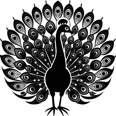 Pretty peacock silhouette cartoon illustration 46335285 Vector Art at ...