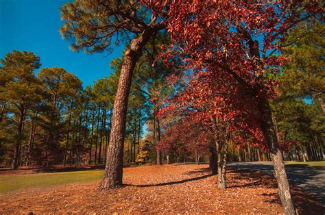 Finding Jerry and Mary: Jackson Springs, North Carolina